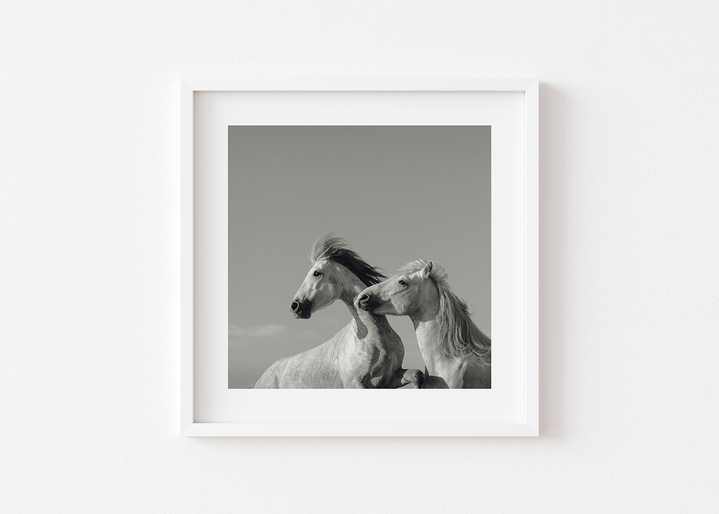 Skylark Large Format (Framed)