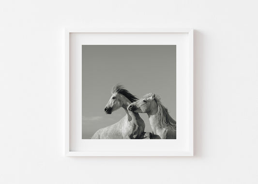 Skylark Large Format (Framed)