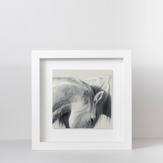 Camargue Horses | Fine Art Print in Deluxe Frame | Limited Edition (Copy)