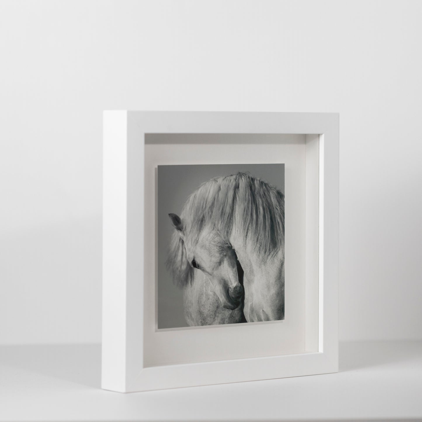 White Horse | Fine Art Print in Deluxe Frame | Limited Edition
