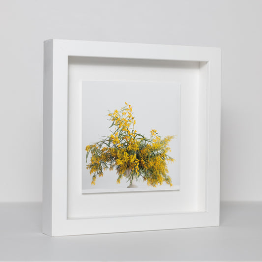 Wattle Fine Art Photograph in Deluxe Frame | Limited Edition