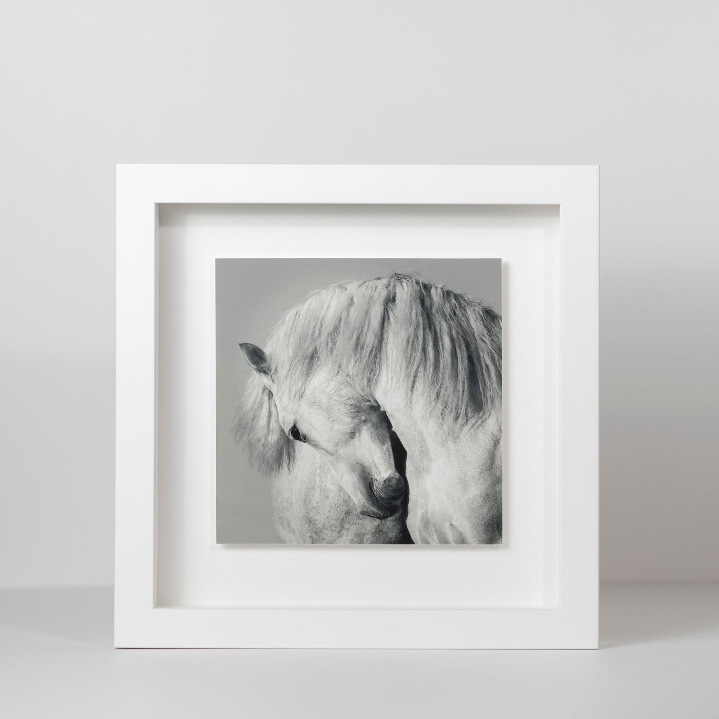 White Horse | Fine Art Print in Deluxe Frame | Limited Edition