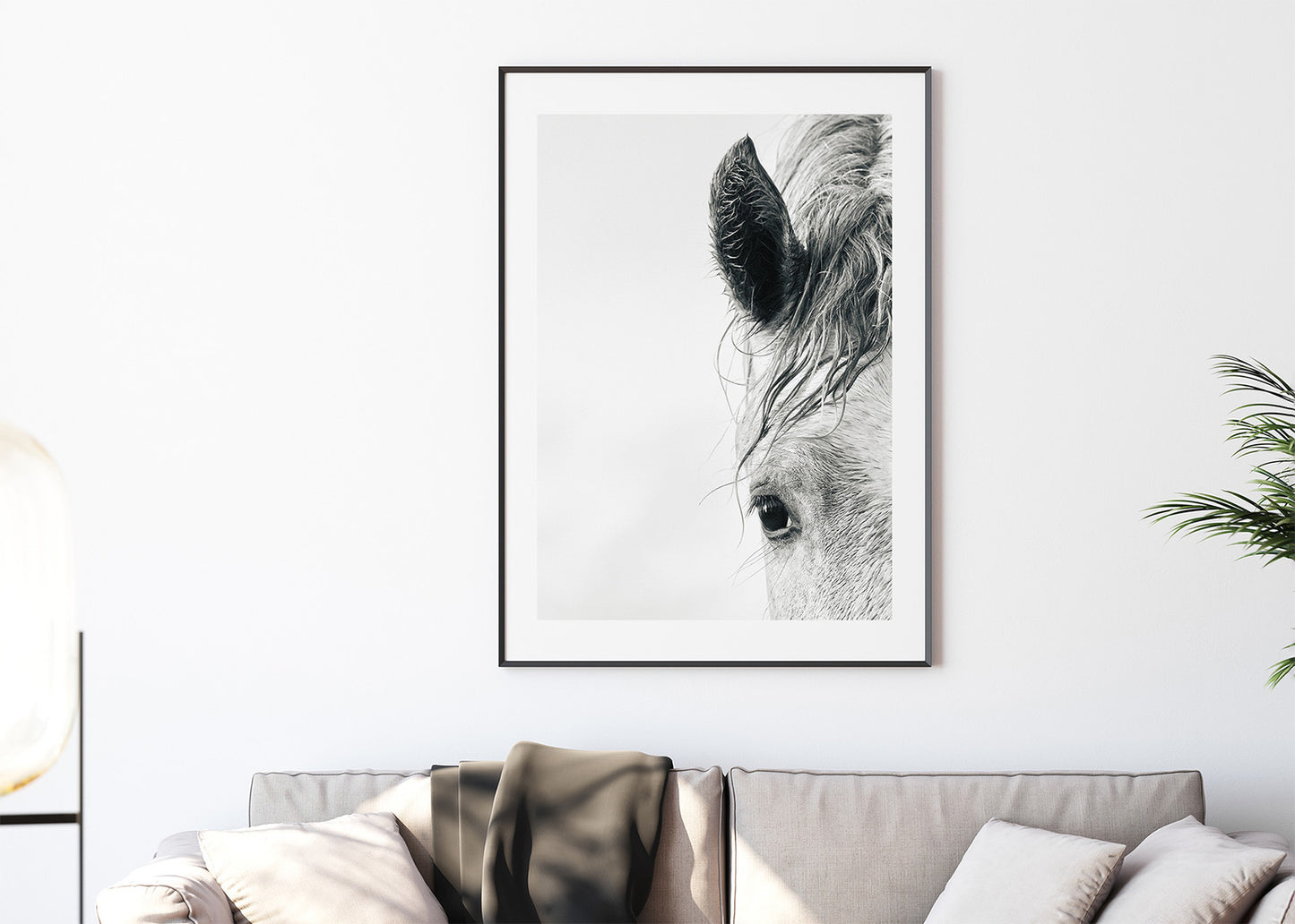 Equine Portrait in Black and White