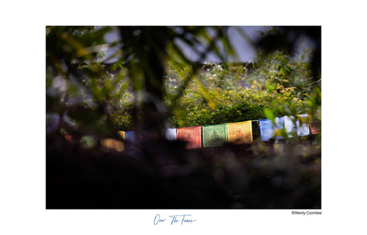 Just look for the light